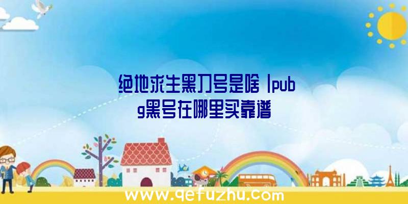 「绝地求生黑刀号是啥」|pubg黑号在哪里买靠谱